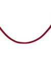 Stanchion Ropes