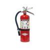 Fire Extinguisher (ABC)
