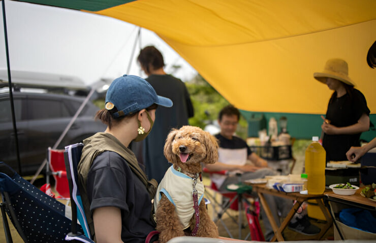 1731316638782x606608362975079600-feature