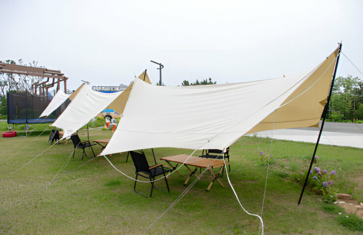 1731912436514x387951898714715260-feature