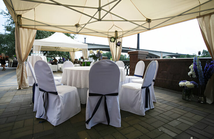 1731912436523x339642701316179140-feature