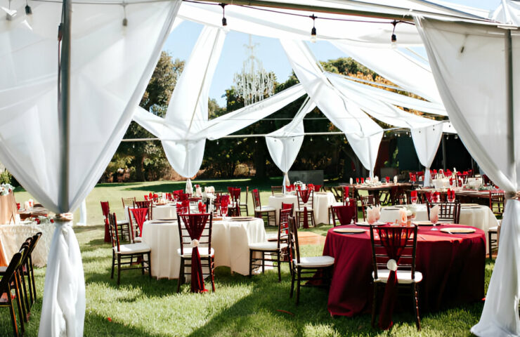 1732514282153x459180454672641000-feature