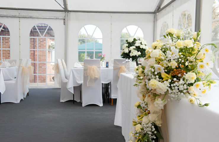 1732520071824x542583982950492800-feature