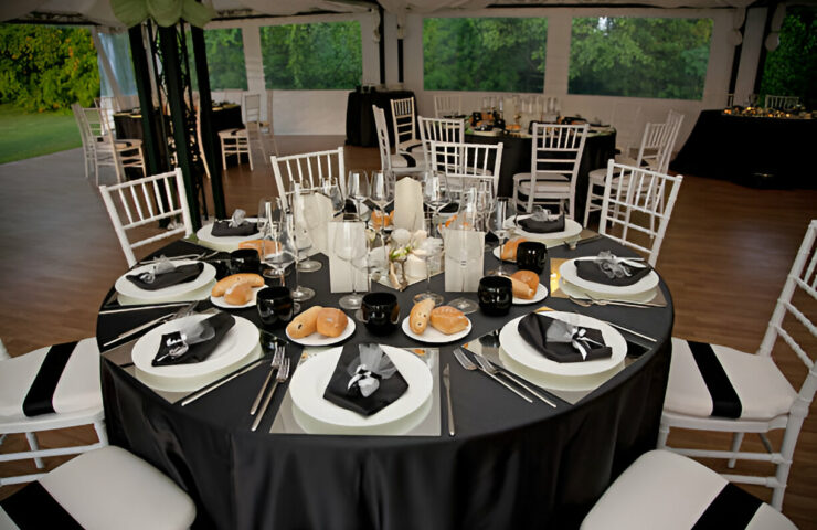 1732522484552x959776779943537700-feature