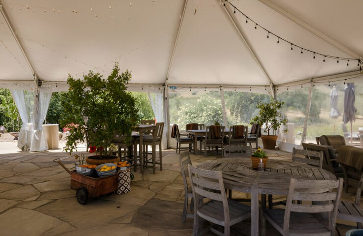 steptodown.com883477