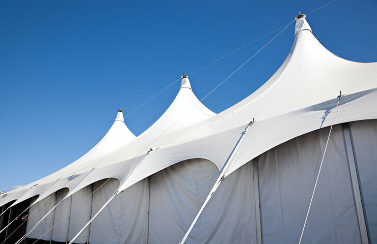 steptodown.com187601