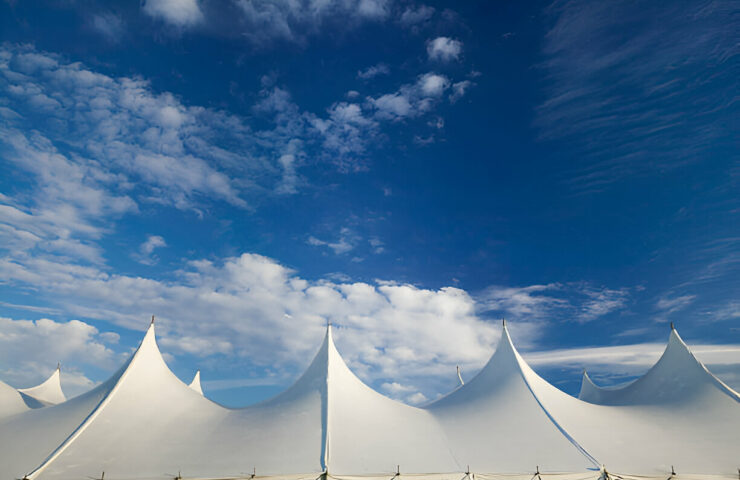 steptodown.com204396