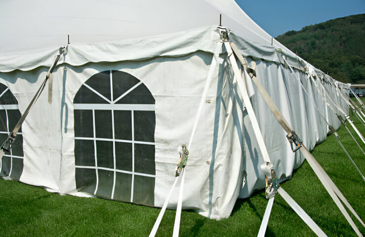 steptodown.com249240