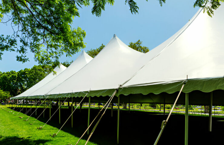 steptodown.com492661