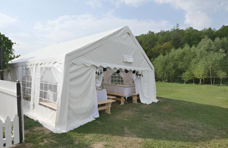 steptodown.com521677