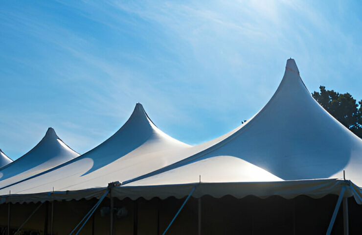 steptodown.com589725