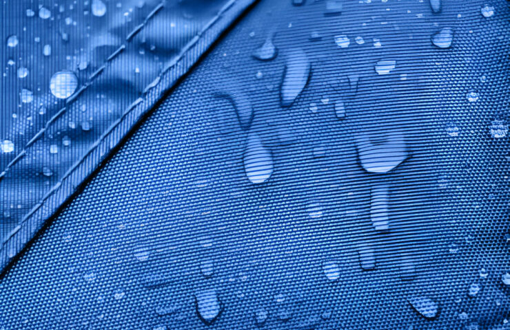 steptodown.com623455