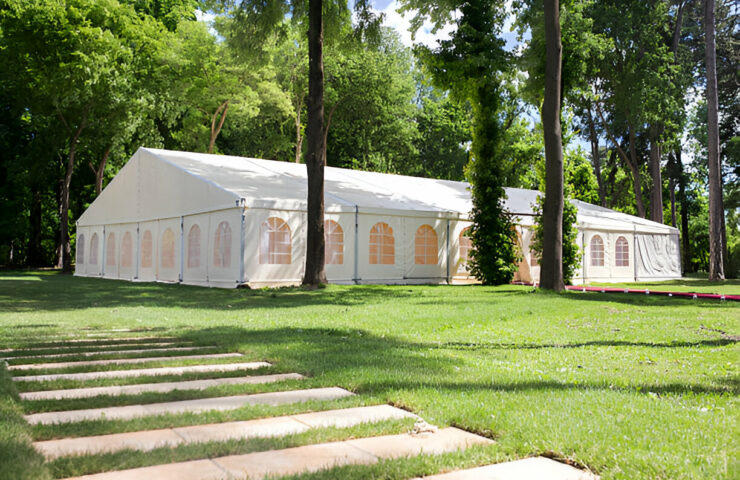 steptodown.com809653