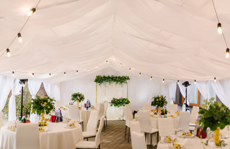 steptodown.com945230