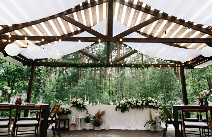 steptodown.com322319