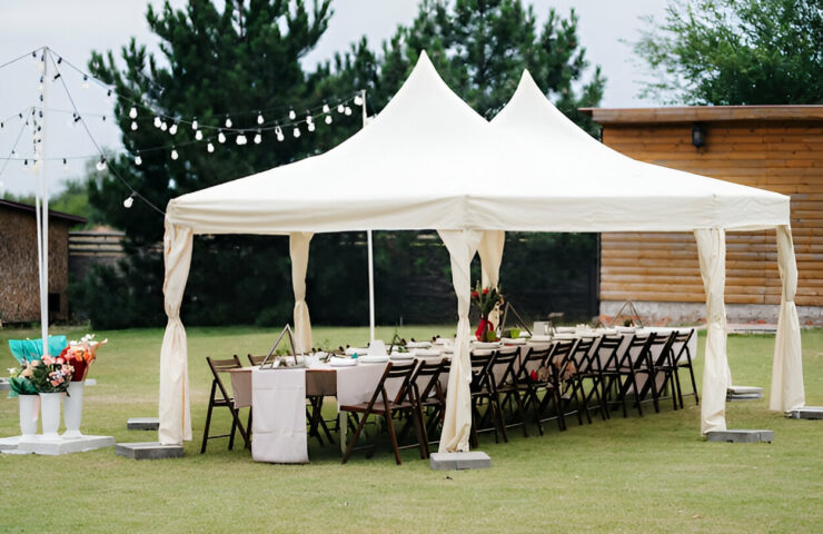 steptodown.com458462