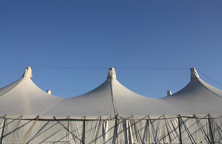 steptodown.com609777