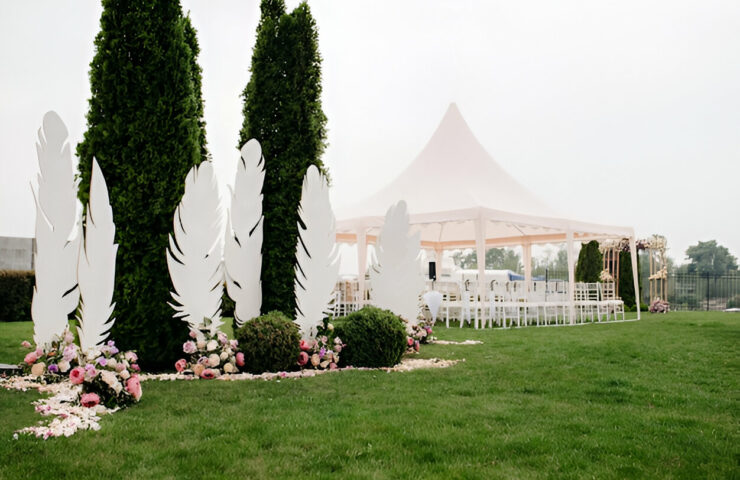 steptodown.com748257 (1)