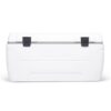 Igloo Ice Cooler